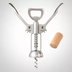 Corkscrew 3D model