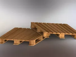 cp1 Pallet
