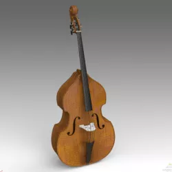 Double Bass 3D model