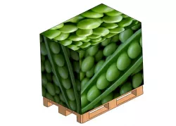 Euro pallet BOX - peas