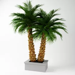 Exotic Potted Tree 3D model