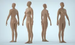 Female Human Body