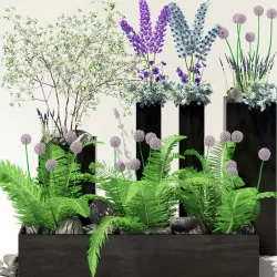 Flowerbeds in black pots 3D model