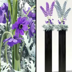 Flowerbeds with lavenders and alliums and Dusty Miller plant 3D model