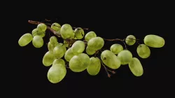 Green Grapes  3D model