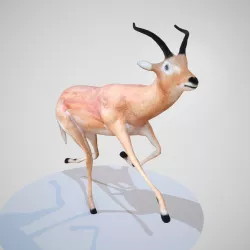 Impala Rigged Low-poly  3D model