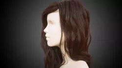Long hair for production render in Octane 3D model
