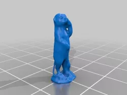 Meerkat