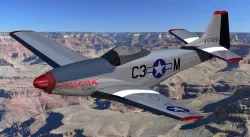 MUSTANG P-51
