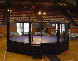 Octagon