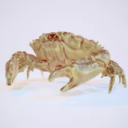 Rigged Crab Alien Crustacean Low-poly  3D model