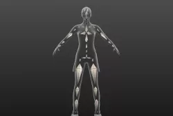 Sarah Advanced Skeleton Low-poly  3D model
