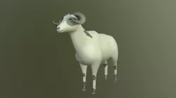 Sheep 3D model