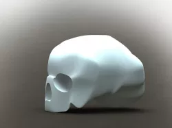 Skull
