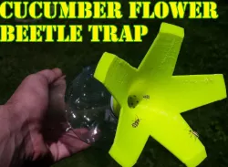 Cucumber flower beetle trap