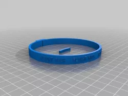 "FLIGHT RISK"  Pet Collar
