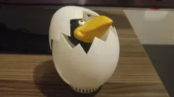 Hatching Egg