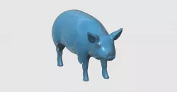 Pig