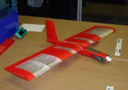 Speedy Red Midi Wing