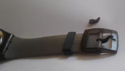 watch buckle pin and hoop loop holder