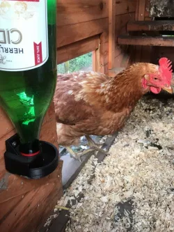 Watering bowl for danish soda bottles
