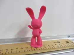 Funny Bunny