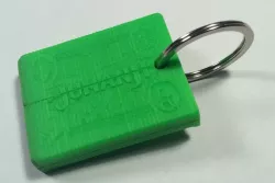 Jumanji Keychain