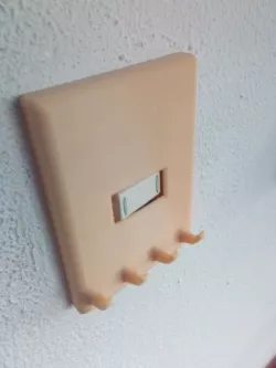 light switch cover 