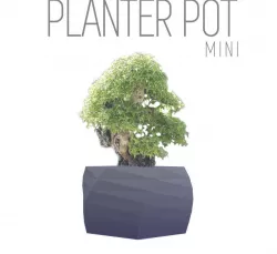 Parametric Plant Pot - 10cm, super thin walls