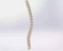 Reaper Spine Guard