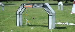Rotor-Racing I-Laps sensor bar
