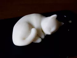 sleeping kitten