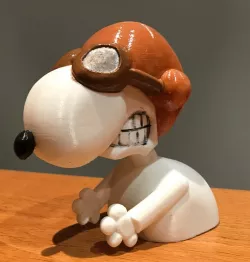 Snopdog ace pilot