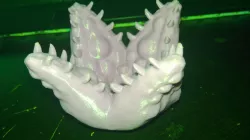 Tentacle Plant