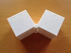 Two Hinged Boxes