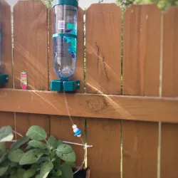 Water Bottle Drip Irrigation System