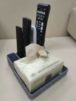 WRF Remote Controller and Tissue box