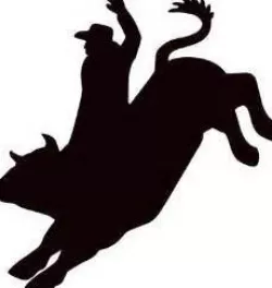 bull rider stamp