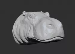 Hippo Head - Low Poly