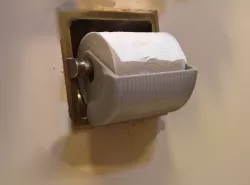 Toilet Paper Protector