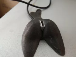 butt desktop usb extension