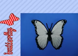 Colgante Mariposa /  pendant butterfly
