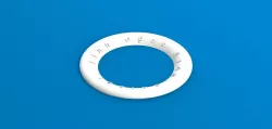 Frisbee (CFE)