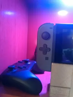 Nintendo switch pad