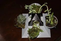 Pyramid Succulent Planter