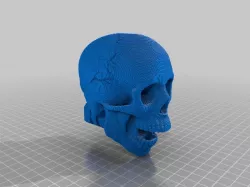 skull Flashider