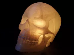 Skull LED Lamp