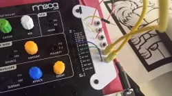 WerkBay for Moog Werkstatt