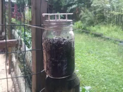 Bottle Fly Trap for Mason Jars