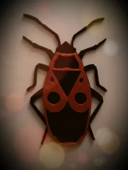 Fire Bug / Feuerwanze
